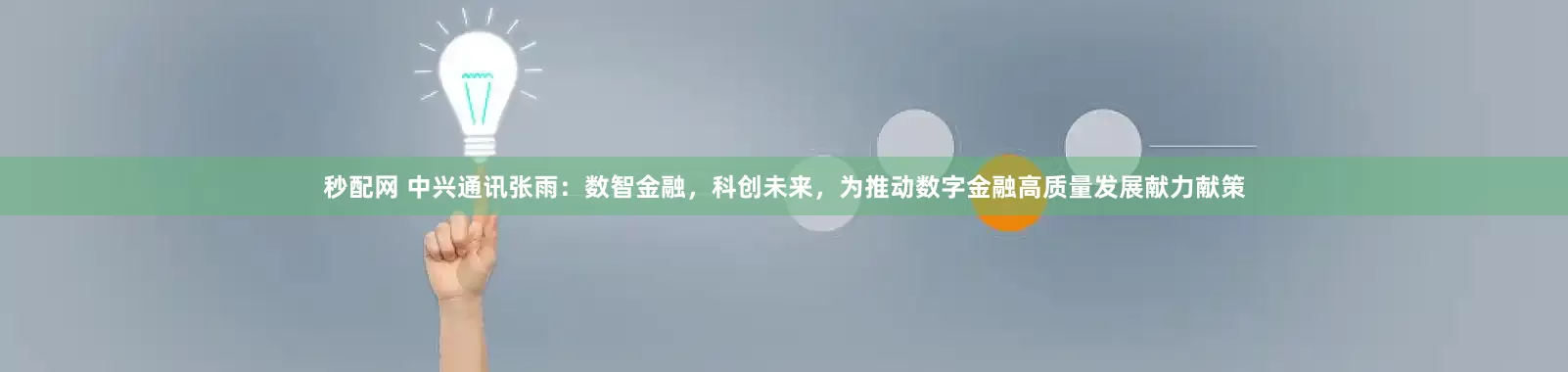 秒配网 中兴通讯张雨：数智金融，科创未来，为推动数字金融高质量发展献力献策