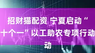 招财猫配资 宁夏启动“十个一”以工助农专项行动