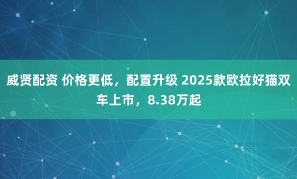 威贤配资 价格更低，配置升级 2025款欧拉好猫双车上市，8.38万起