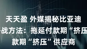天天盈 外媒揭秘比亚迪应对价格战方法：拖延付款期“挤压”供应商