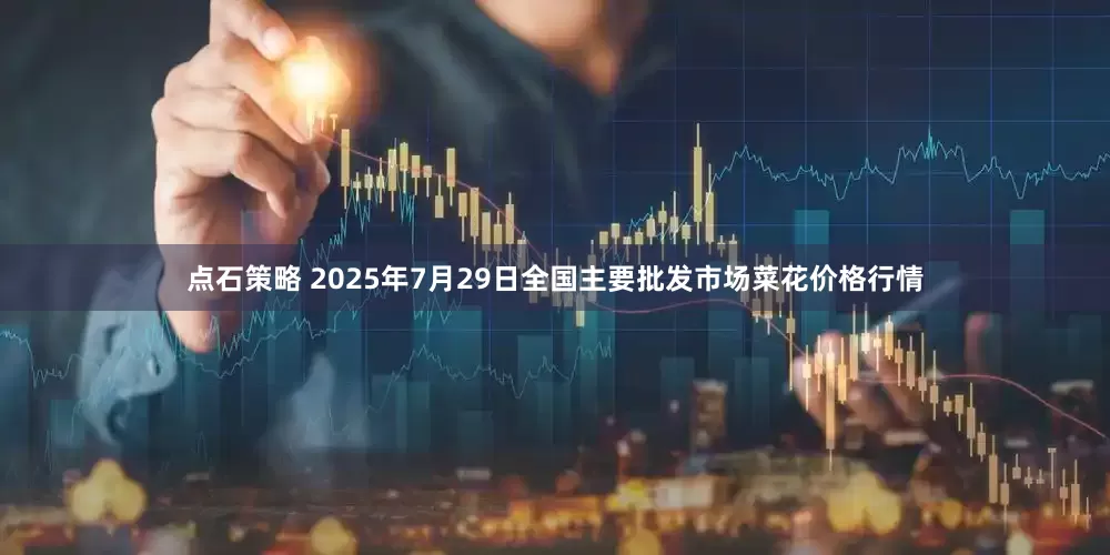 点石策略 2025年7月29日全国主要批发市场菜花价格行情
