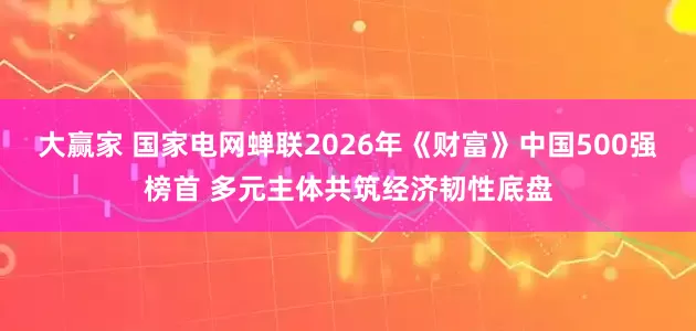 大赢家 国家电网蝉联2026年《财富》中国500强榜首 多元主体共筑经济韧性底盘